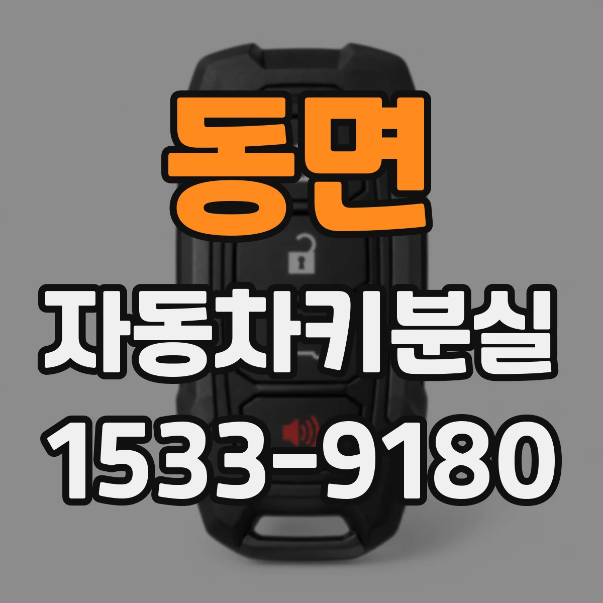 동면 자동차키분실