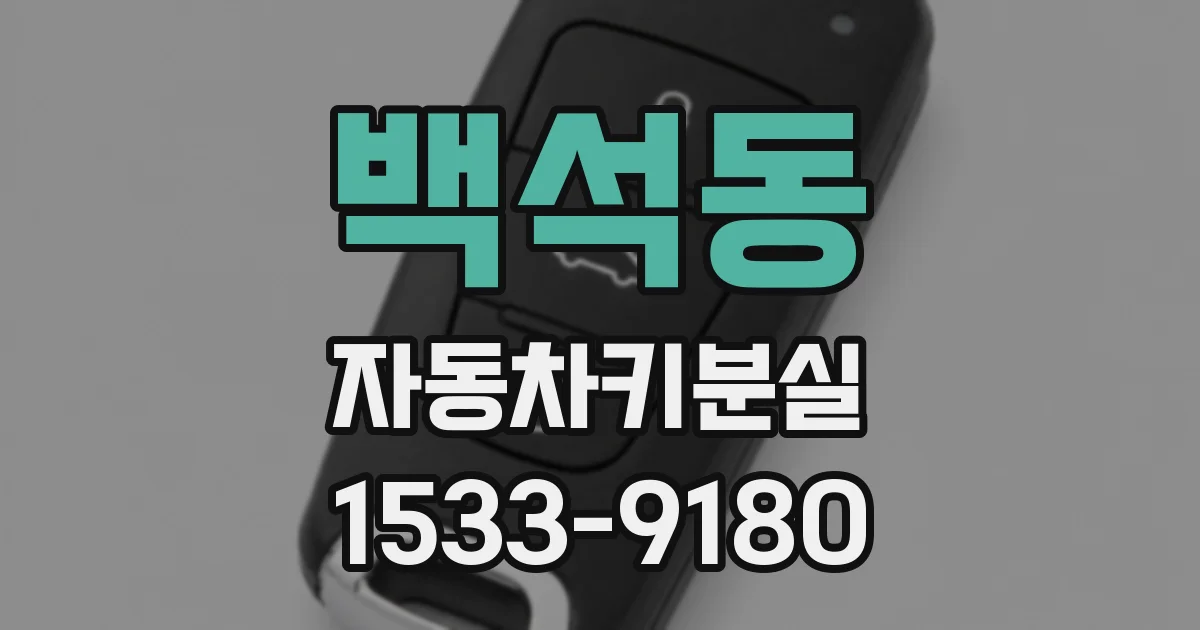 백석동 자동차키분실