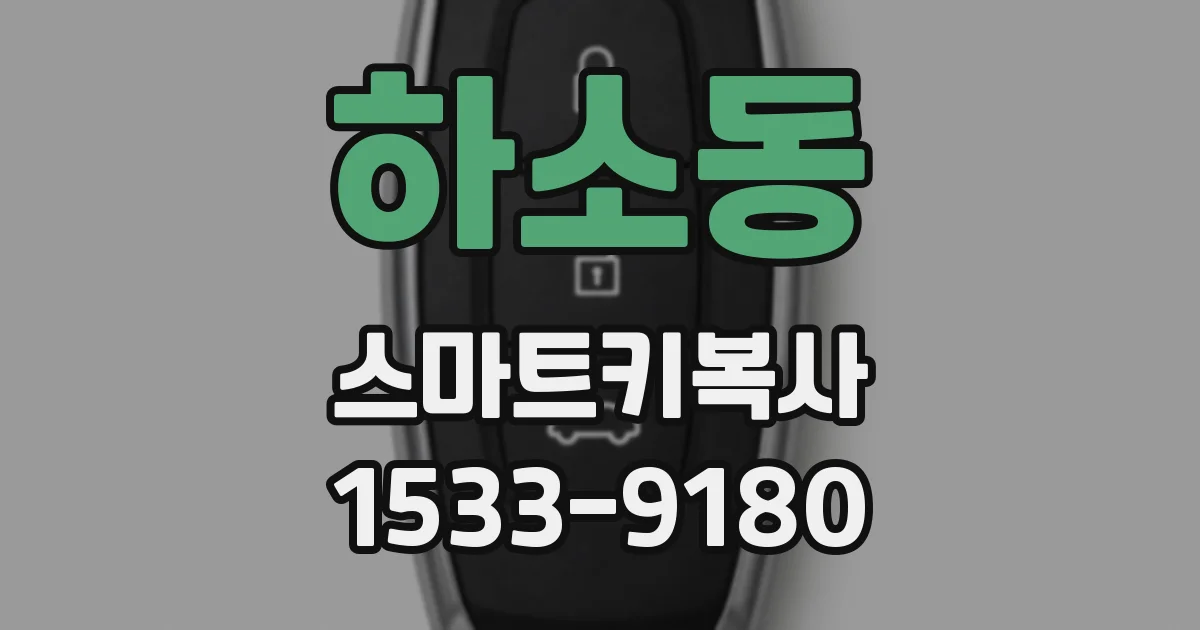 하소동 스마트키복사