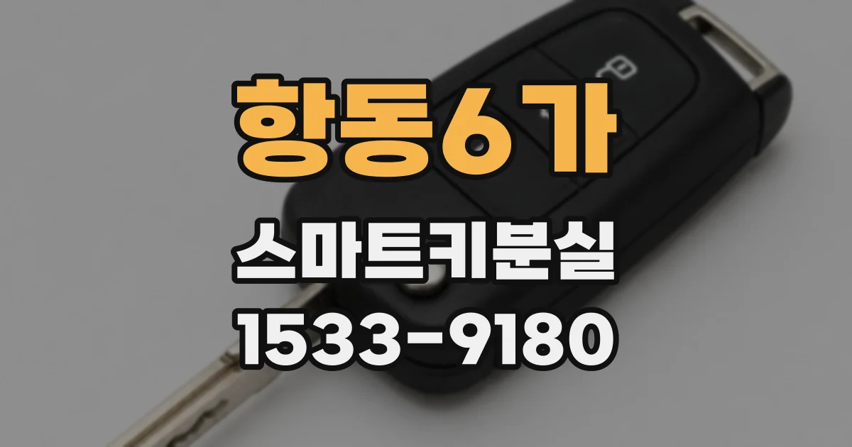 항동6가 스마트키분실