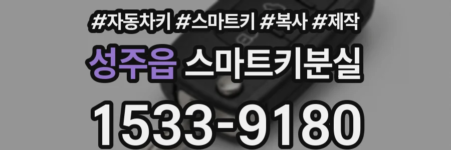 성주읍 스마트키분실