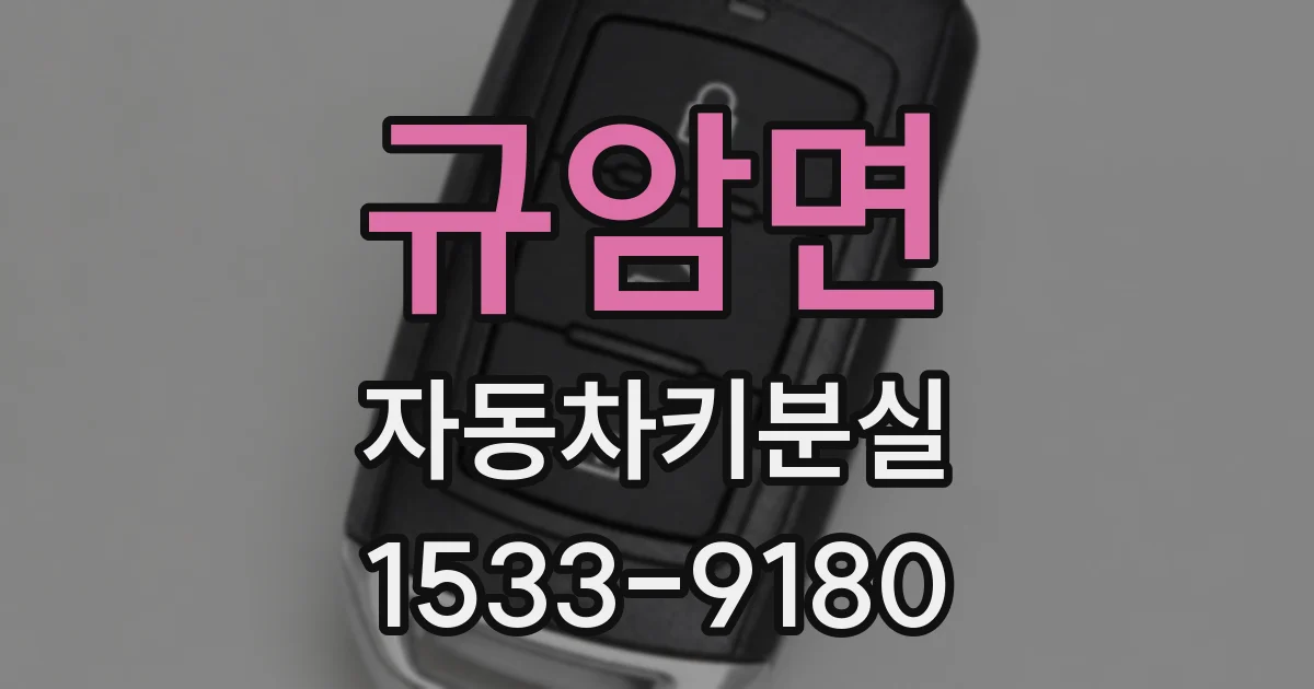 규암면 자동차키분실