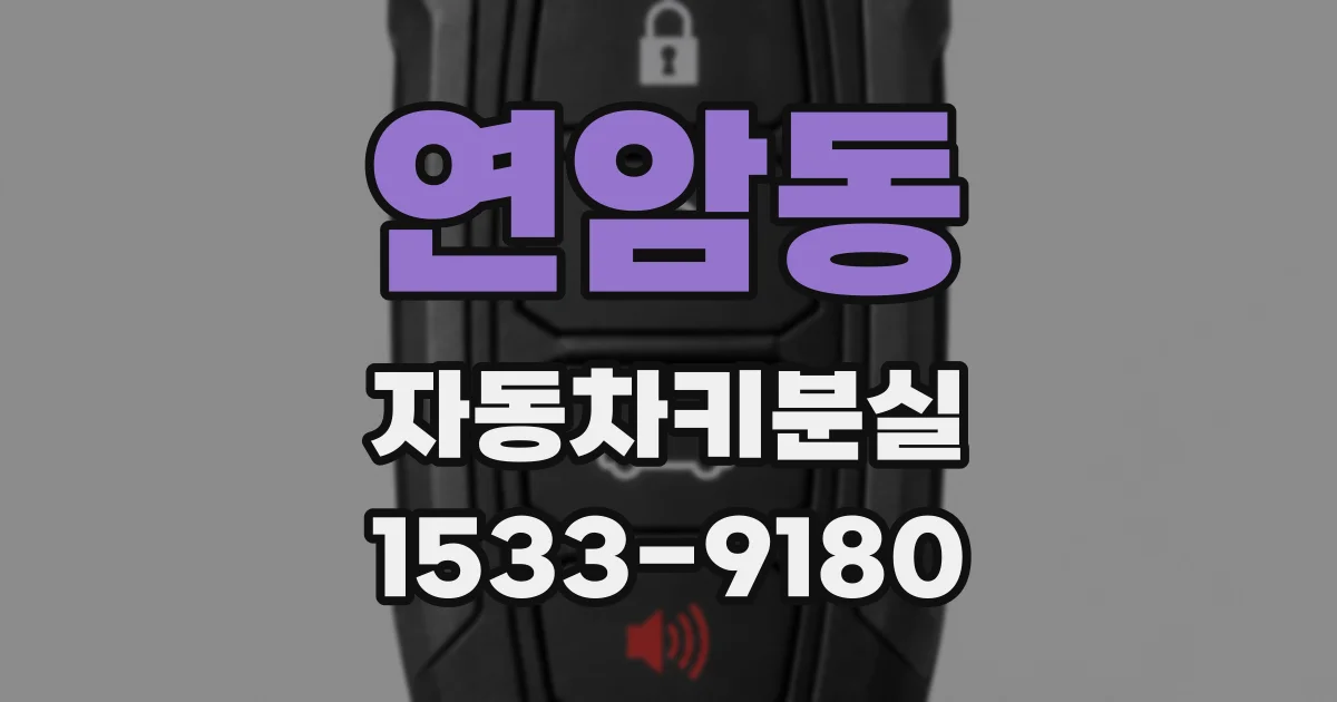 연암동 자동차키분실
