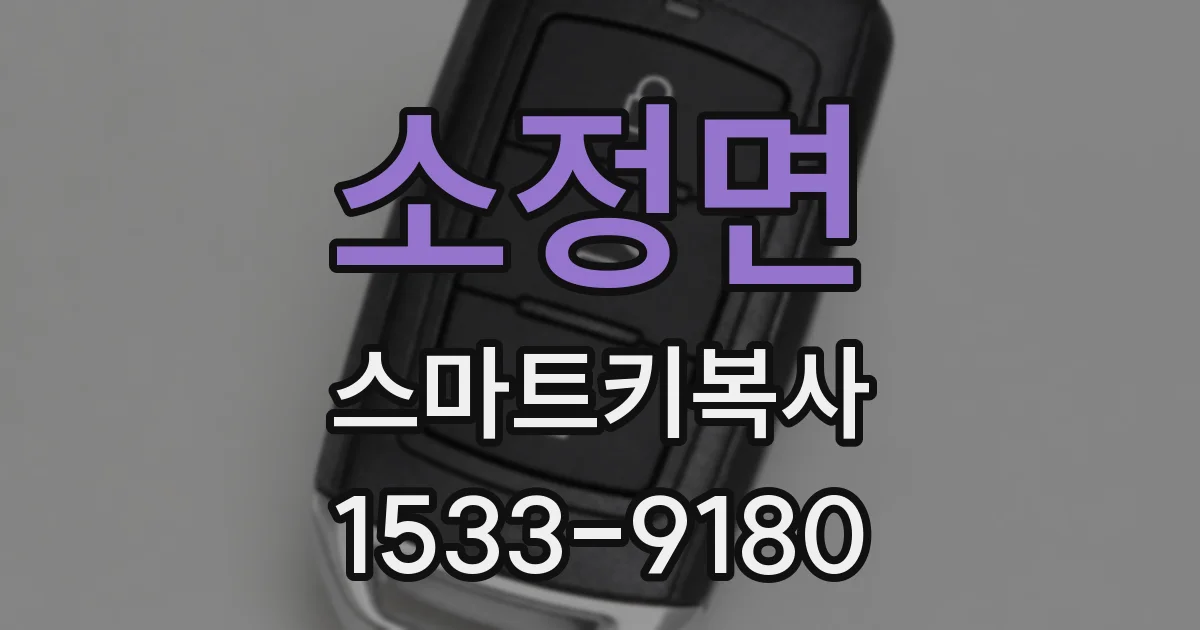 소정면 스마트키복사