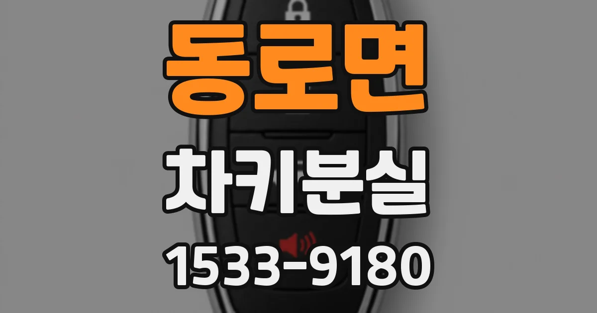 동로면 차키분실