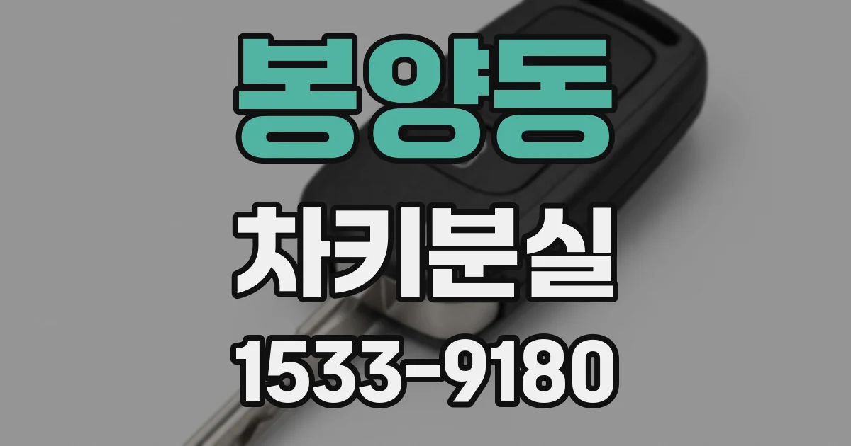 봉양동 차키분실