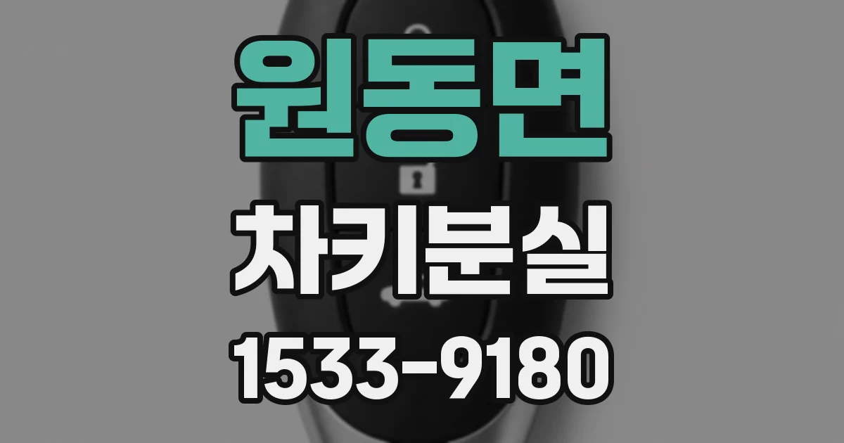 원동면 차키분실