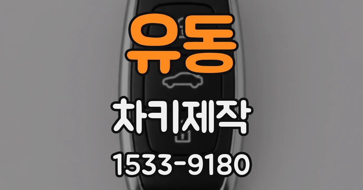 유동 차키제작
