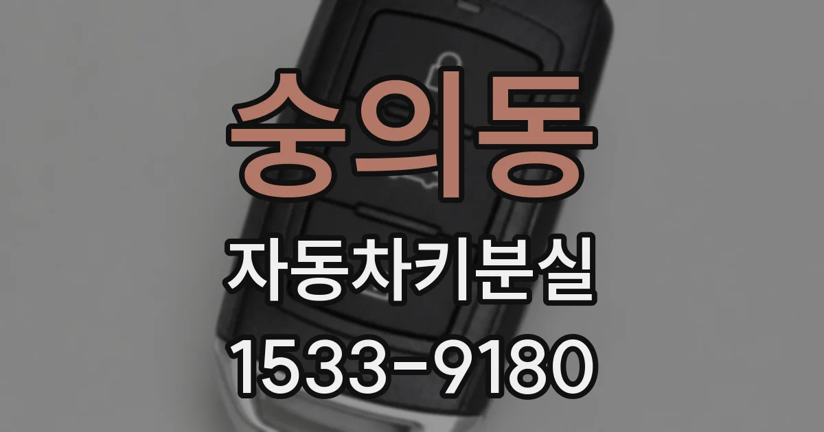 숭의동 자동차키분실