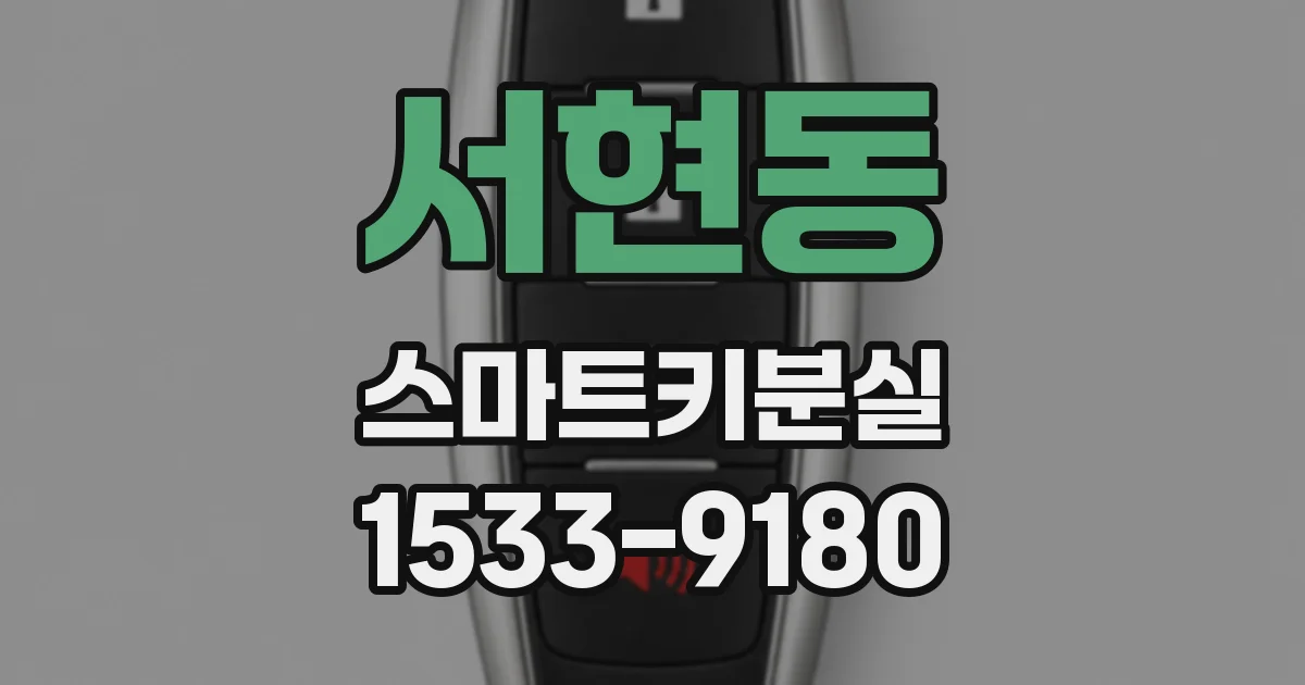 서현동 스마트키분실