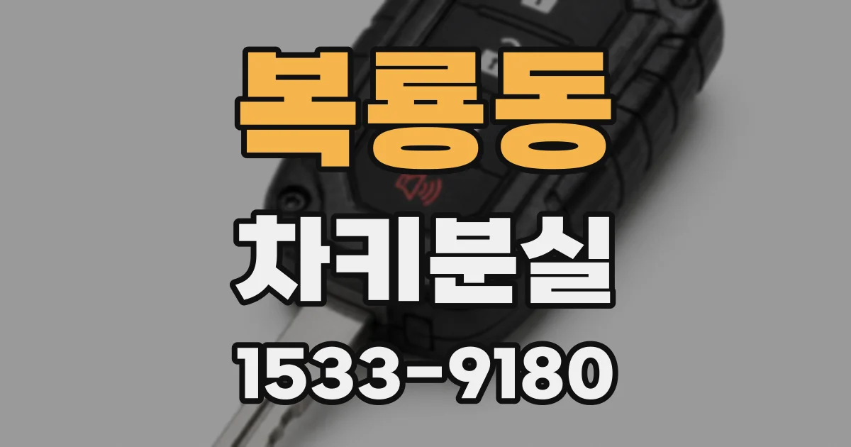 복룡동 차키분실