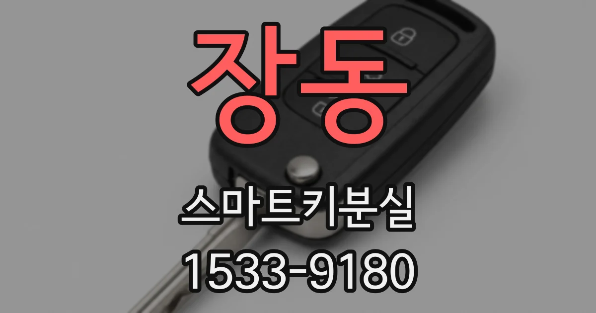 장동 스마트키분실