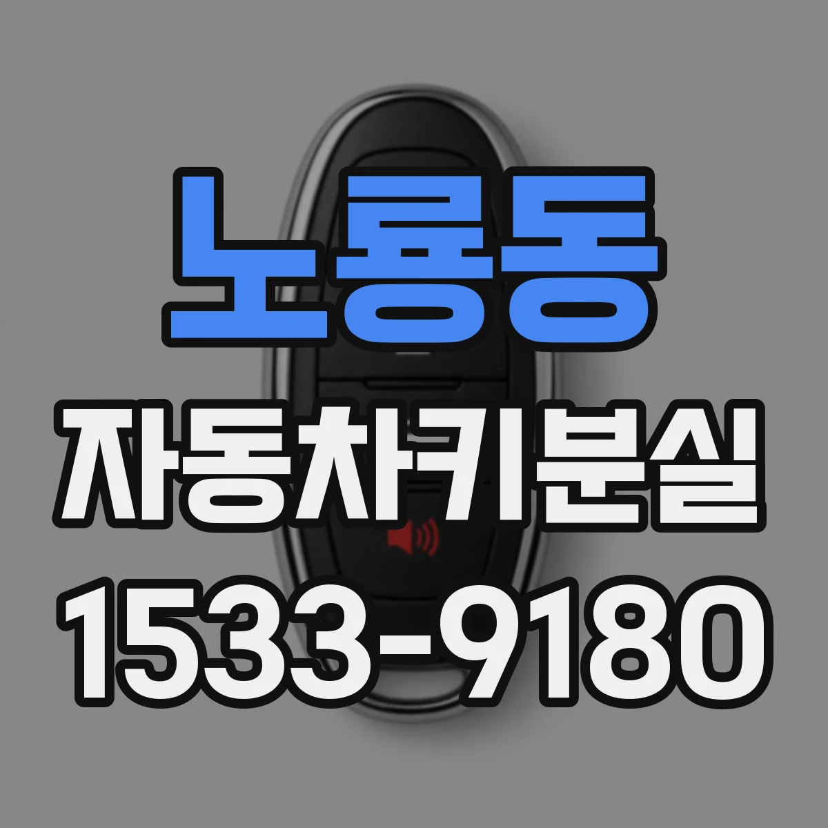노룡동 자동차키분실