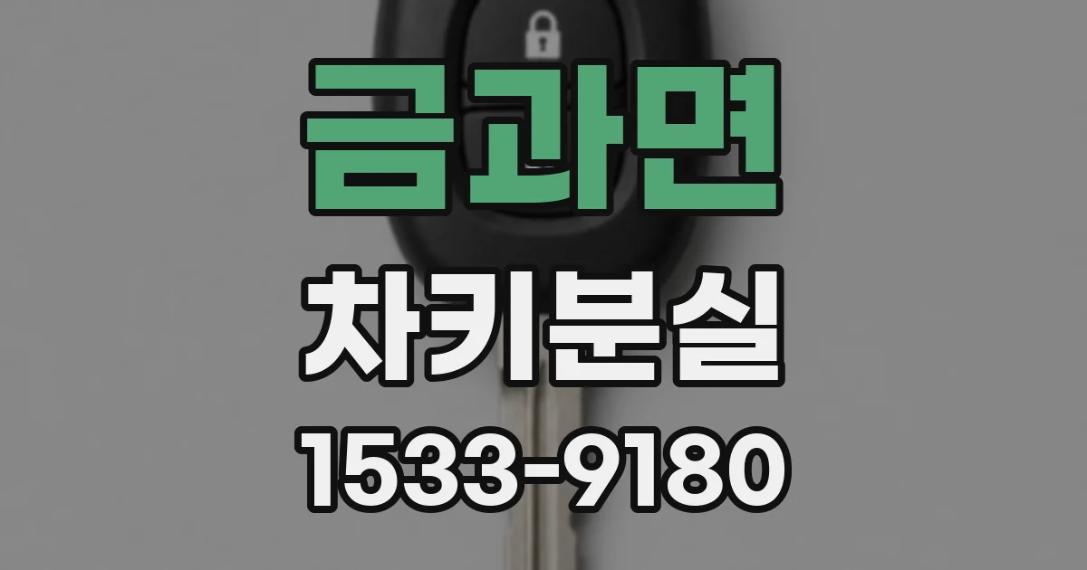 금과면 차키분실