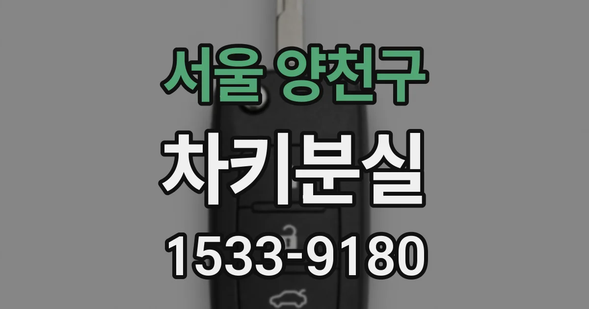 서울 양천구 차키분실