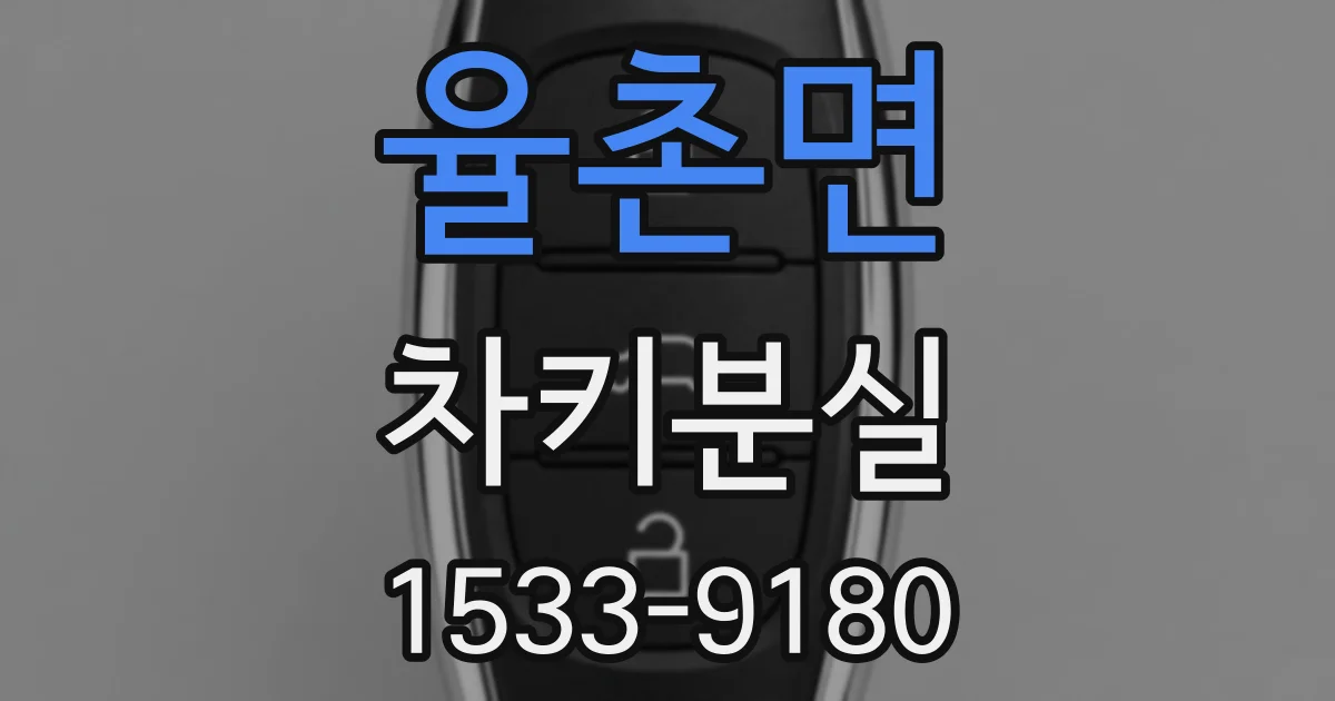 율촌면 차키분실