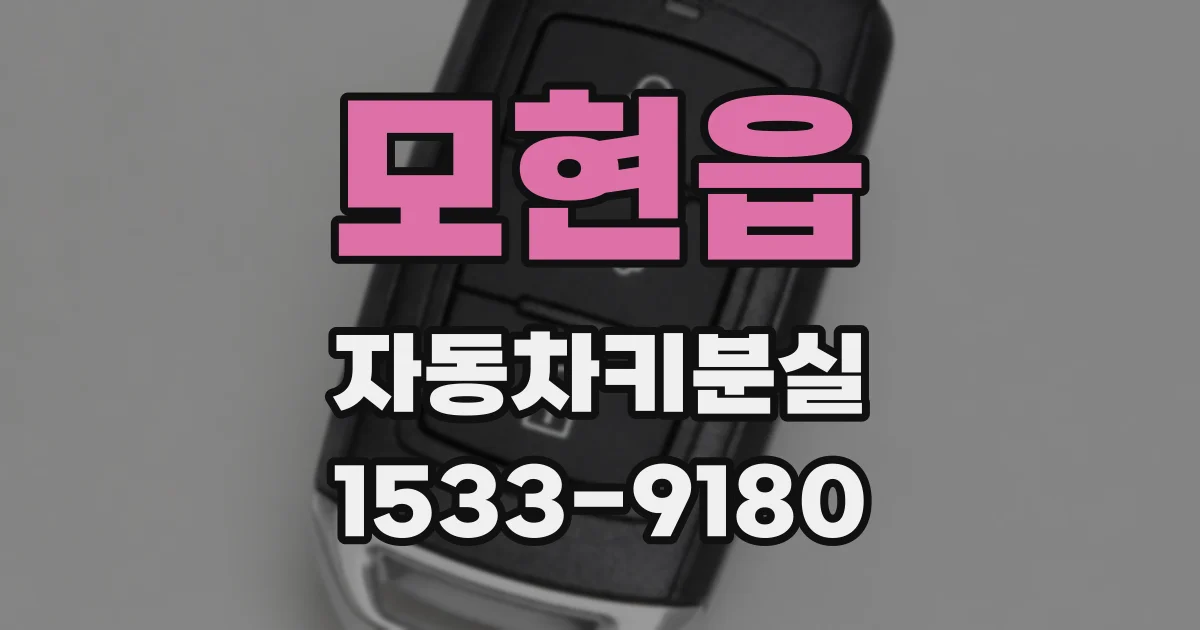 모현읍 자동차키분실