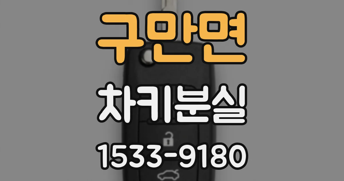 구만면 차키분실