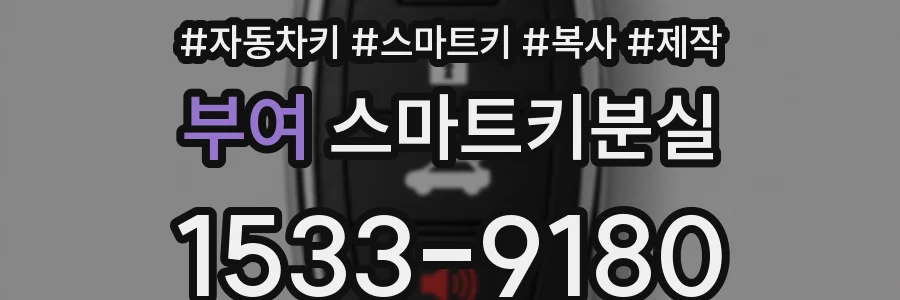 부여 스마트키분실