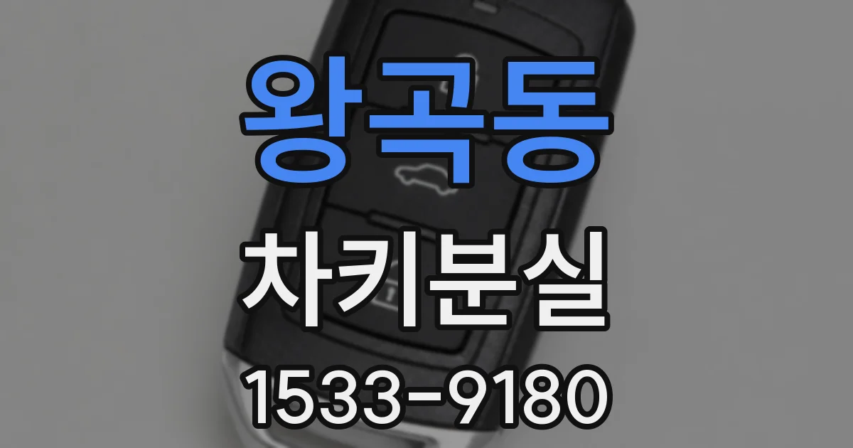 왕곡동 차키분실