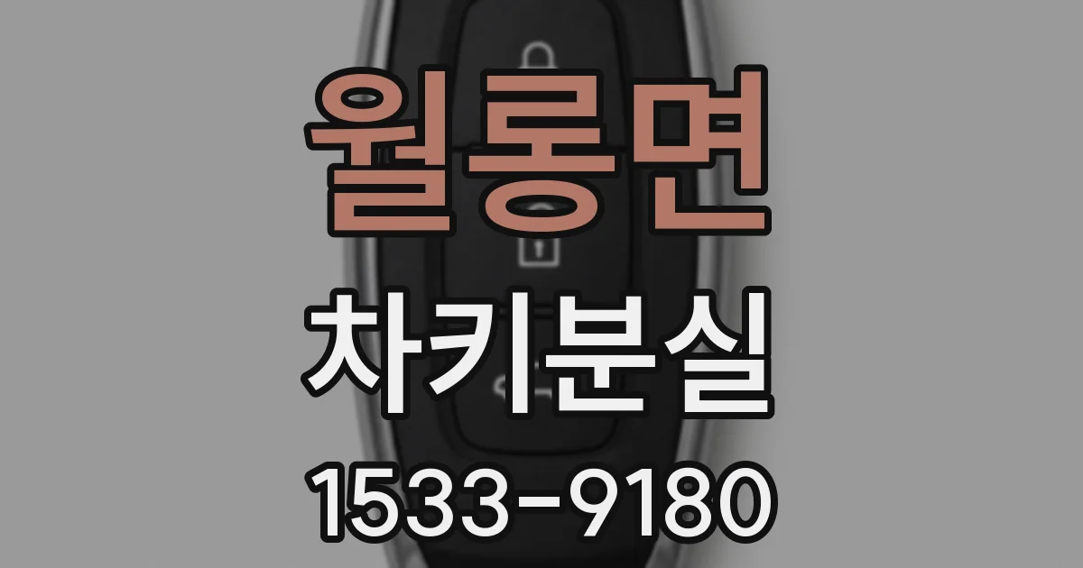 월롱면 차키분실