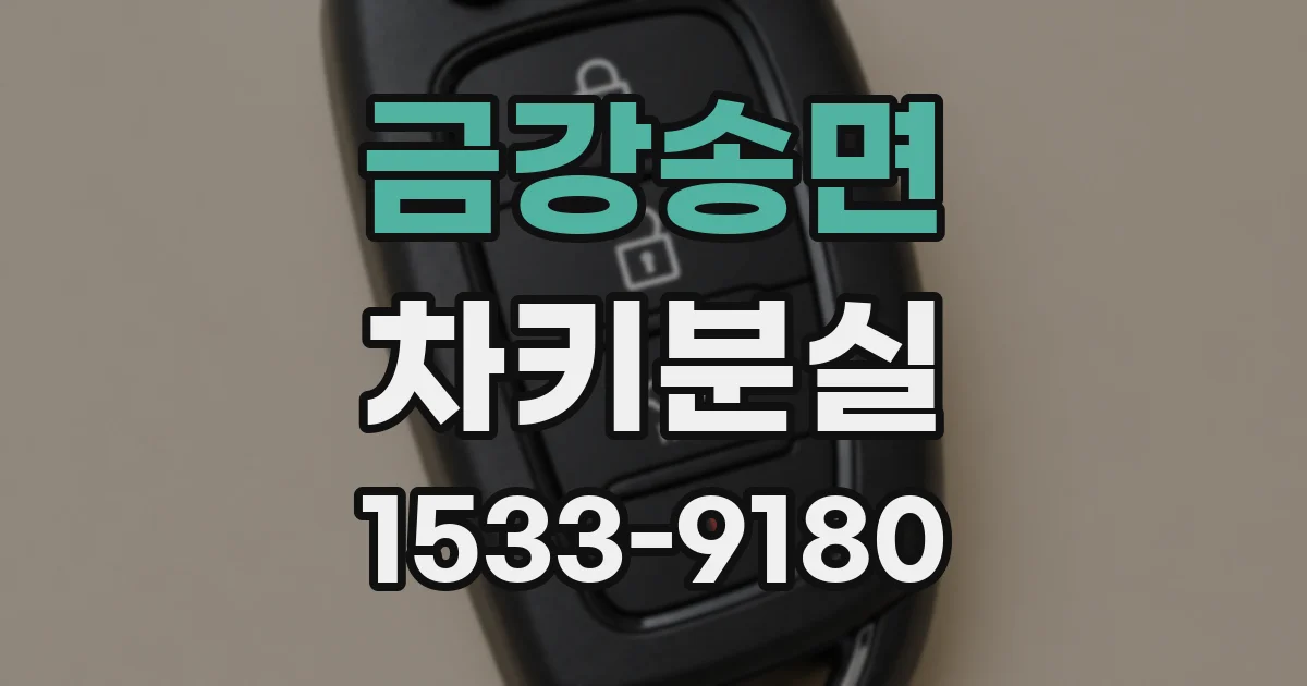 금강송면 차키분실