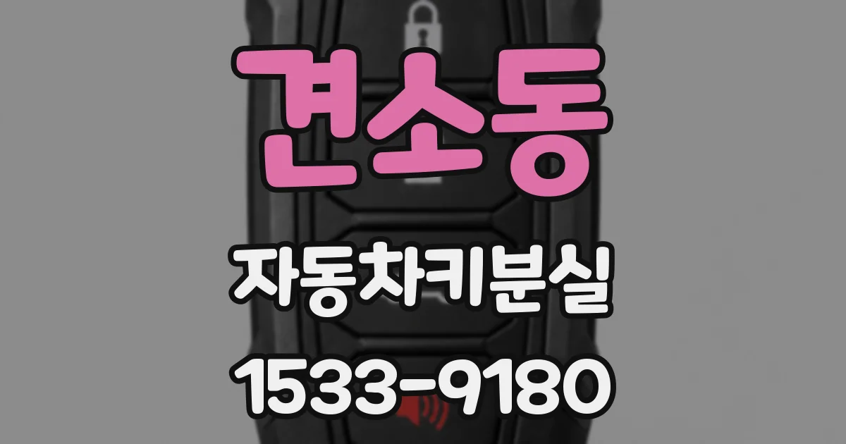 견소동 자동차키분실