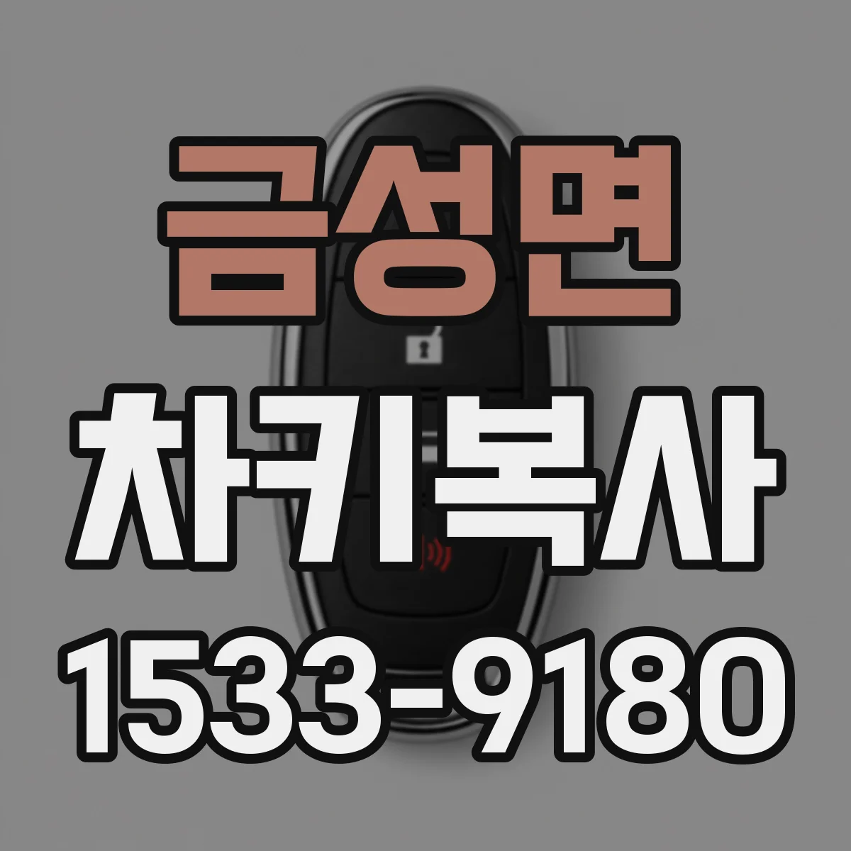 금성면 차키복사