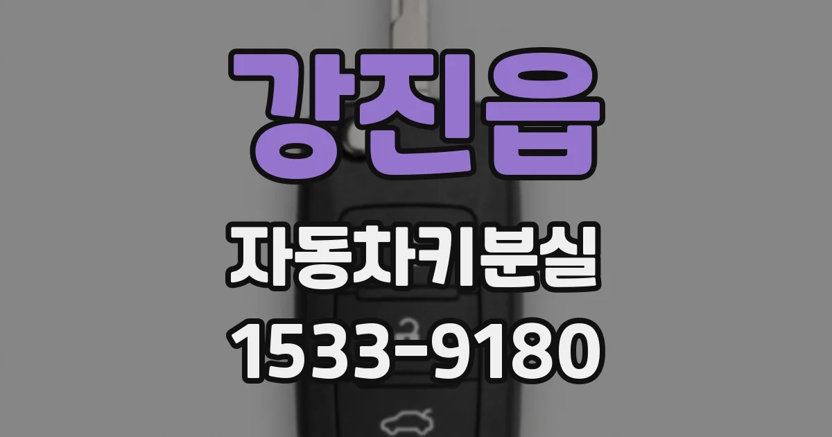 강진읍 자동차키분실