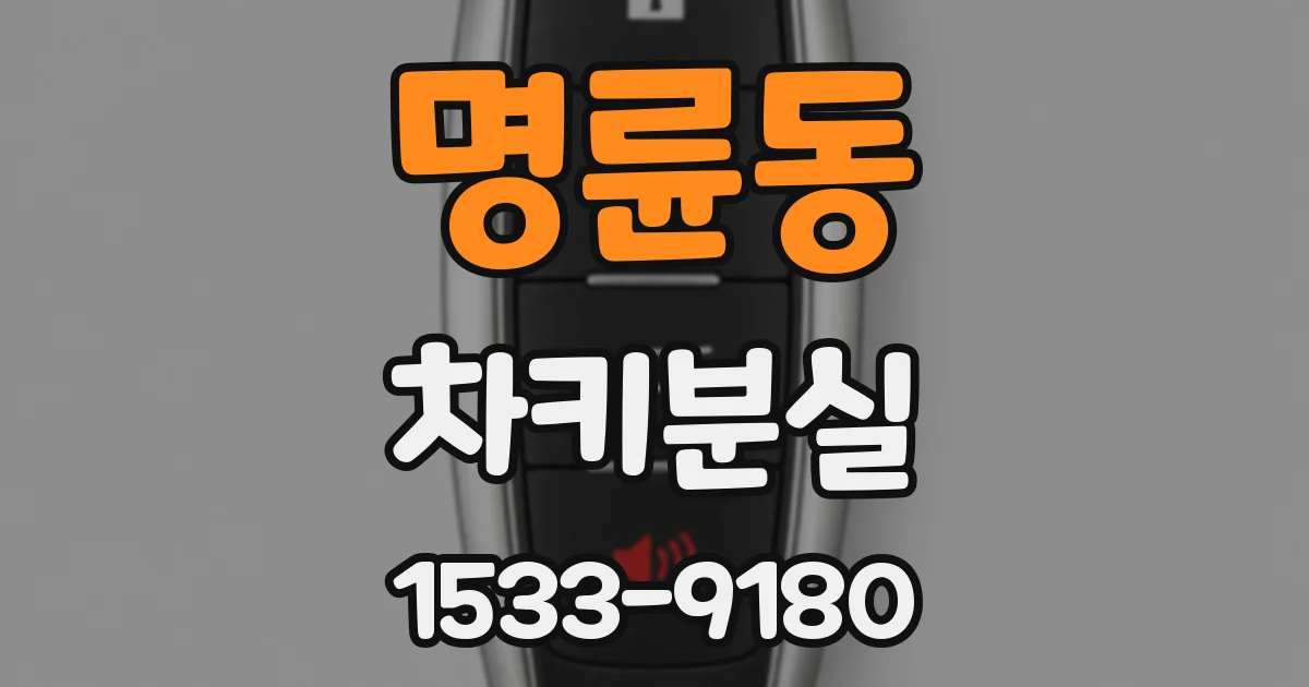 명륜동 차키분실