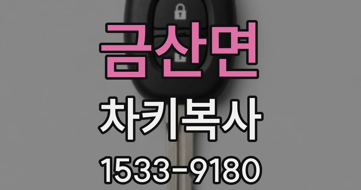 금산면 차키복사