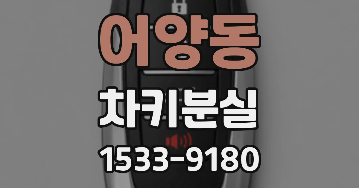어양동 차키분실
