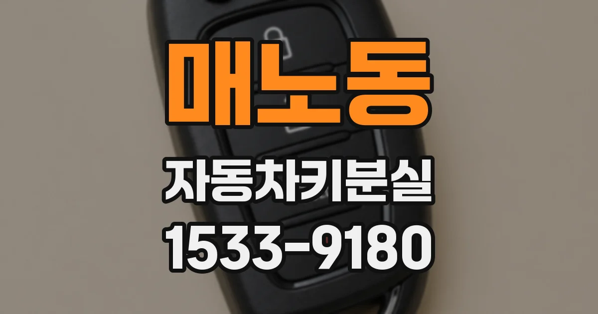 매노동 자동차키분실