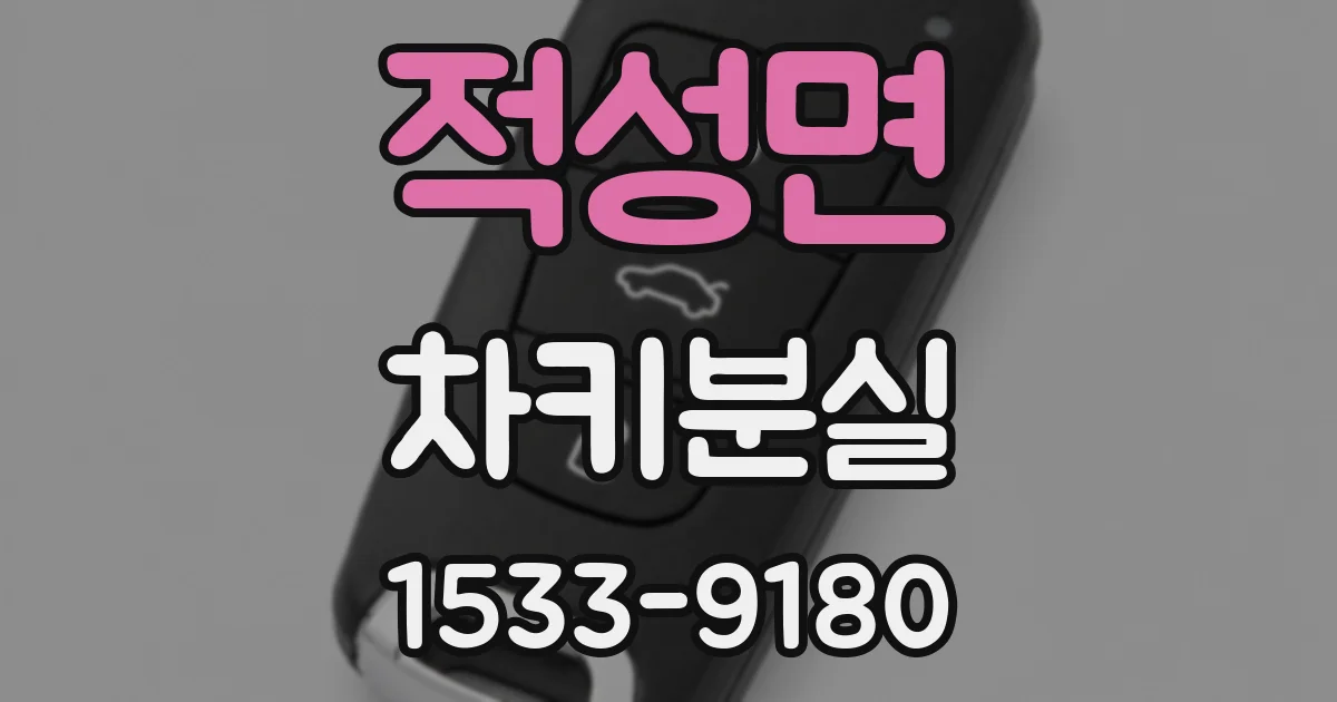 적성면 차키분실