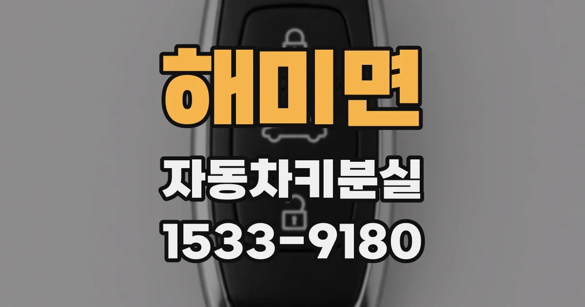 해미면 자동차키분실