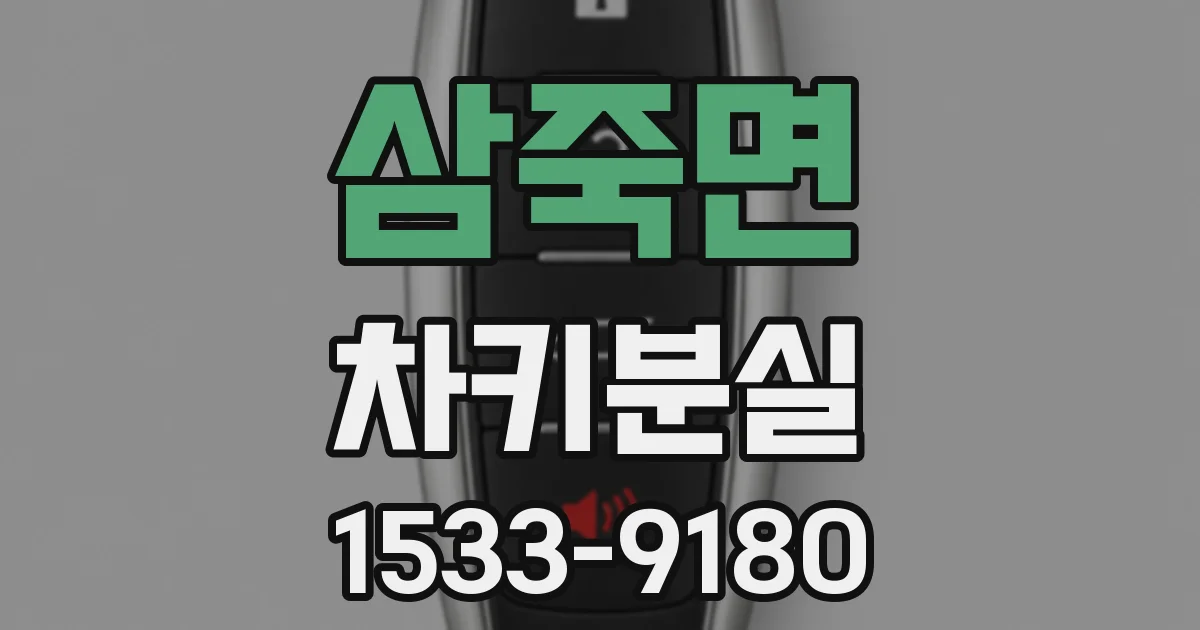 삼죽면 차키분실