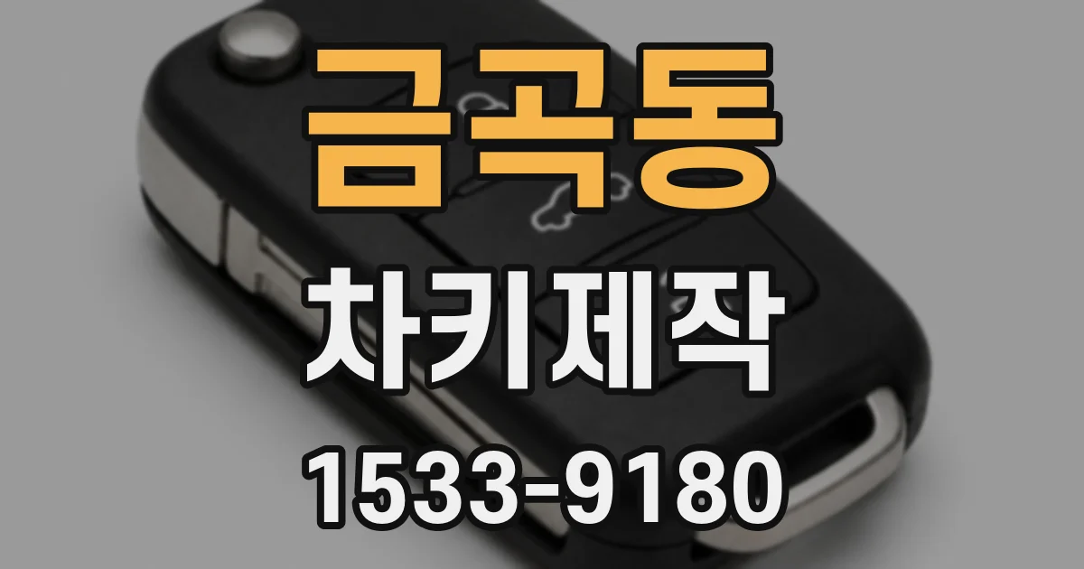 금곡동 차키제작