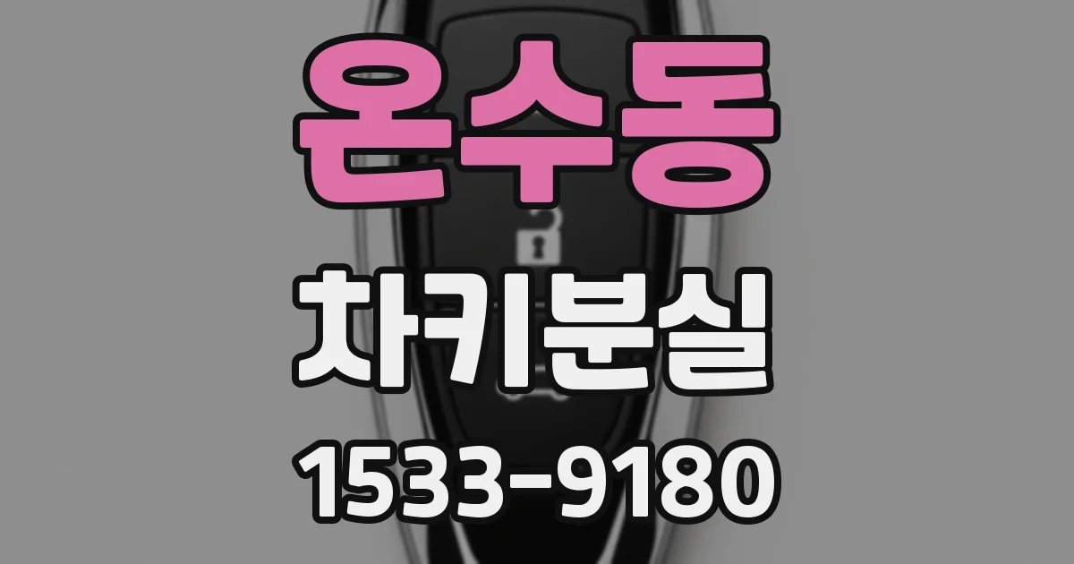 온수동 차키분실