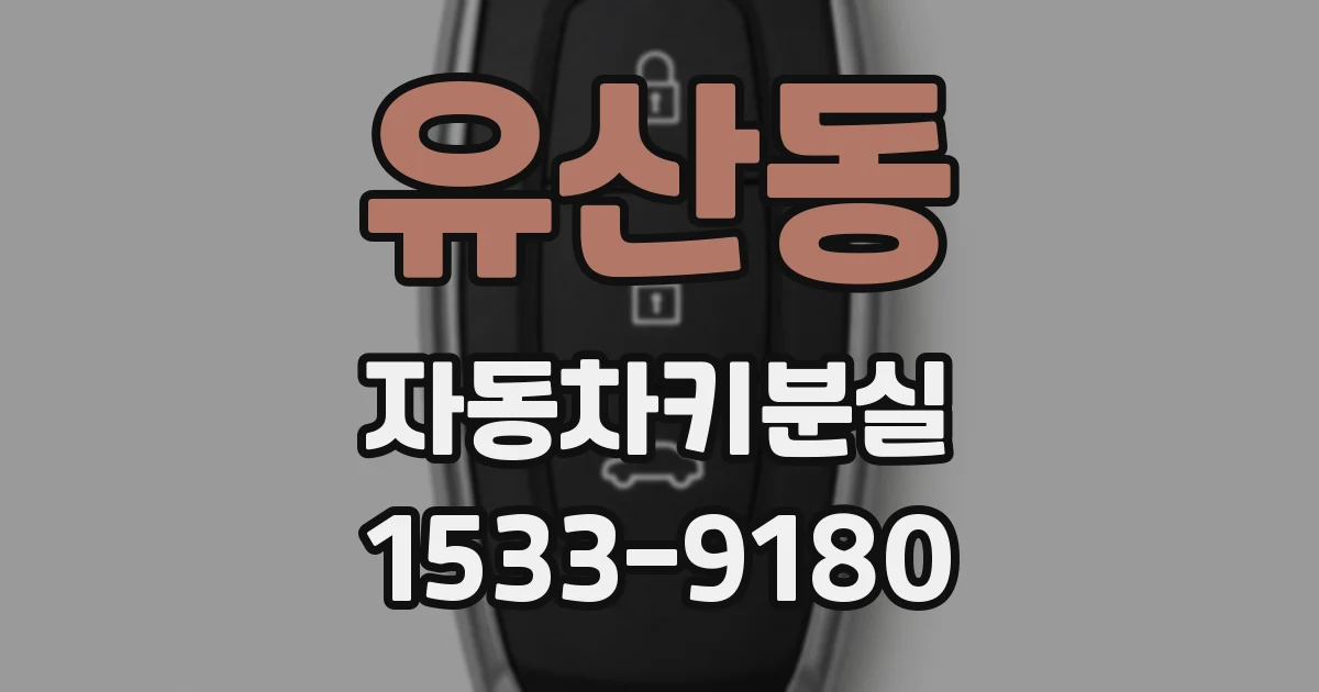 유산동 자동차키분실
