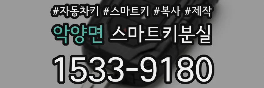 악양면 스마트키분실