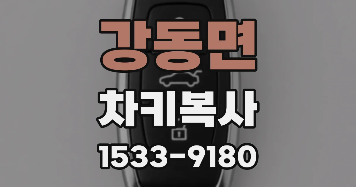 강동면 차키복사
