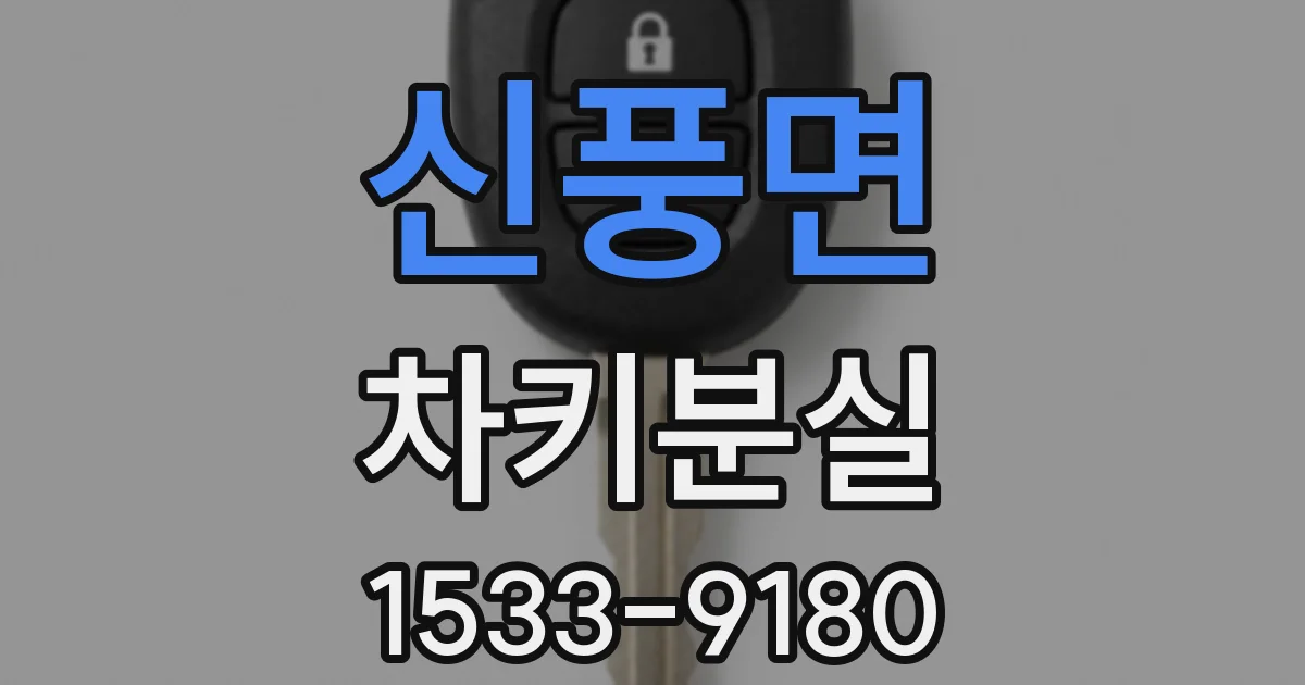 신풍면 차키분실