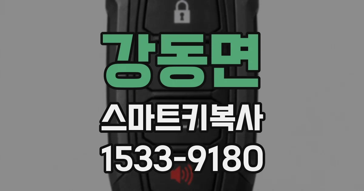 강동면 스마트키복사