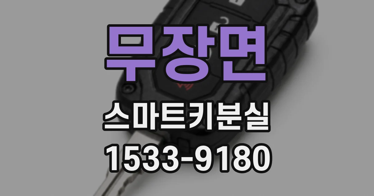 무장면 스마트키분실