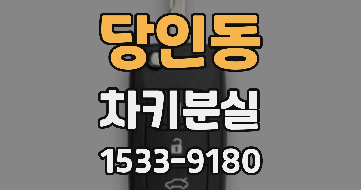 당인동 차키분실