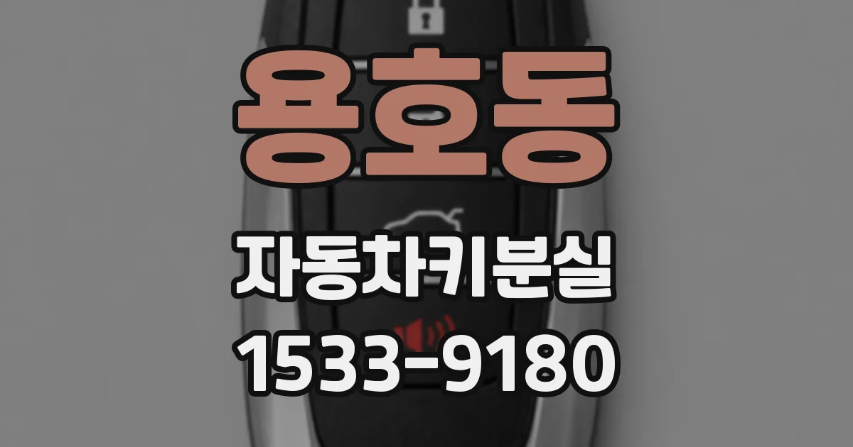 용호동 자동차키분실