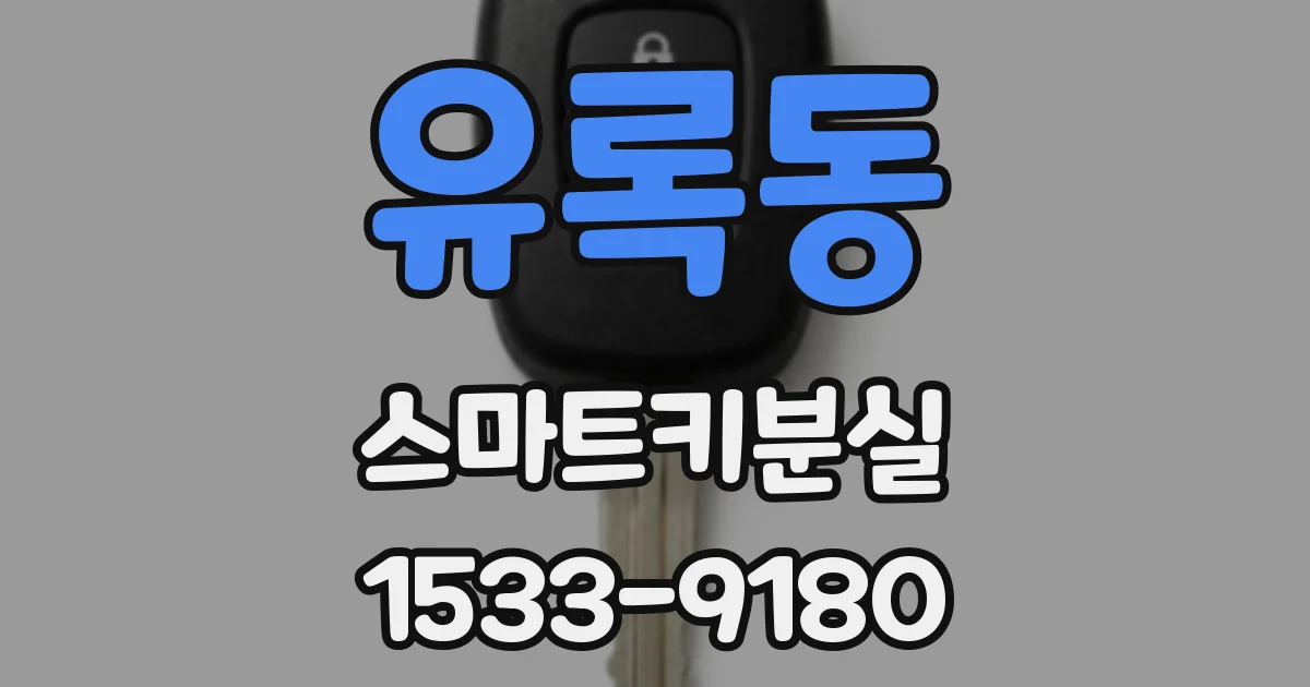 유록동 스마트키분실
