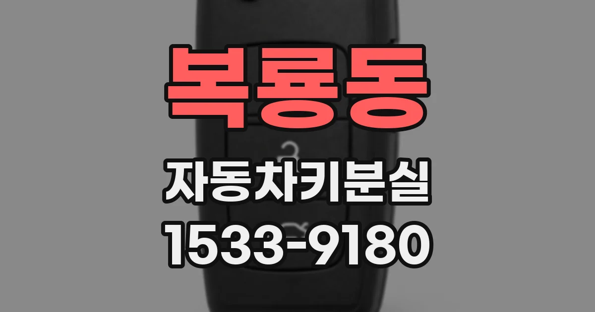 복룡동 자동차키분실