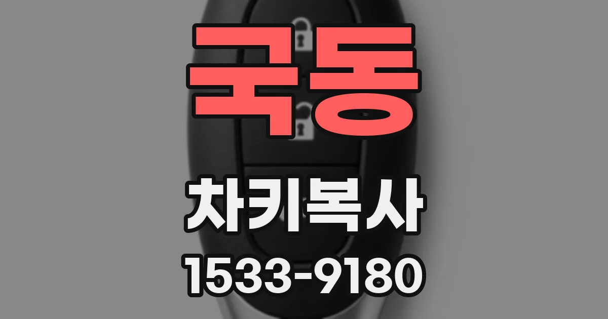 국동 차키복사