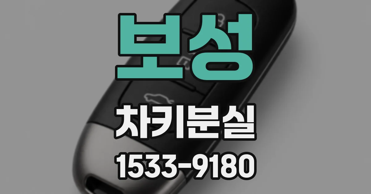 보성 차키분실
